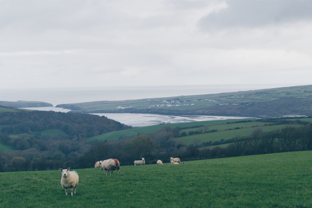 Pembrokeshire coast national park, national park wales, uk national parks, wales coast