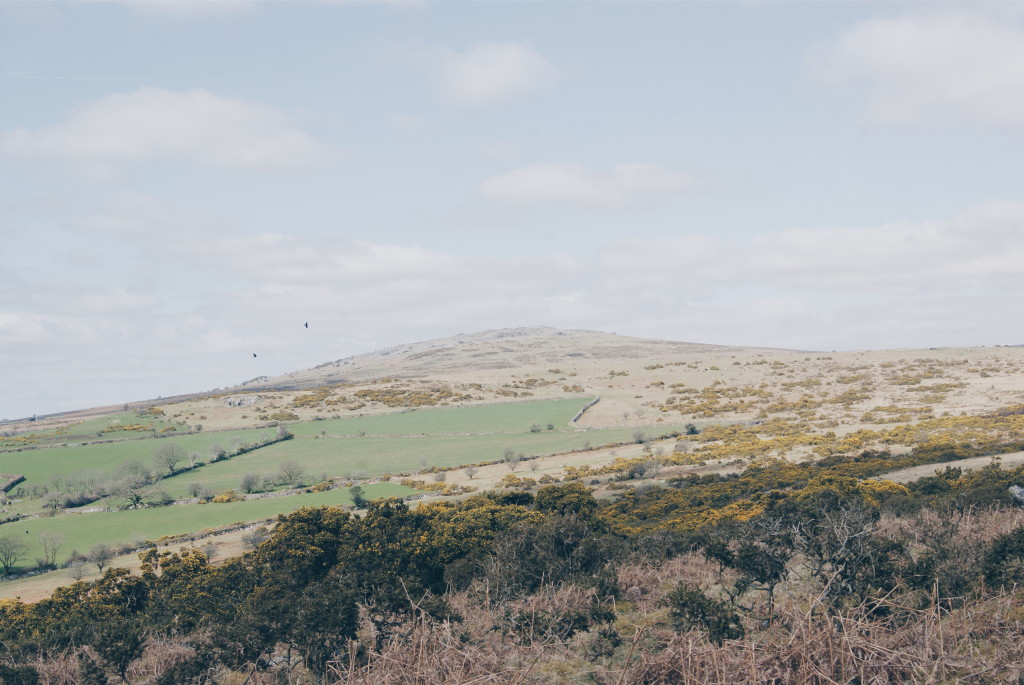 dartmoor photos, dartmoor national park, dartmoor landscape, devon pictures