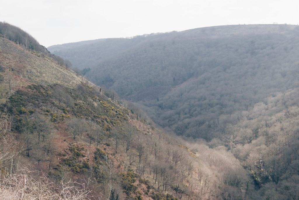 dartmoor photos, dartmoor national park, dartmoor landscape, fingle gorge dartmoor