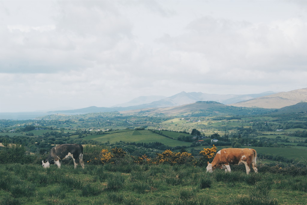 visit west cork, bantry bay, hiking west cork