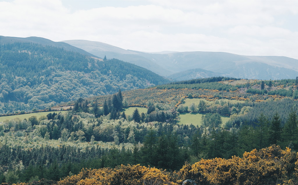 county wicklow photos, wicklow photography, the garden of ireland