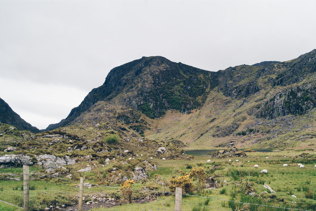 killarney national park, the gap of dunloe, hiking ireland