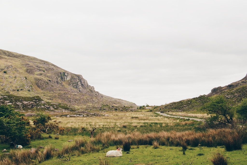 killarney national park, the gap of dunloe, ireland countryside