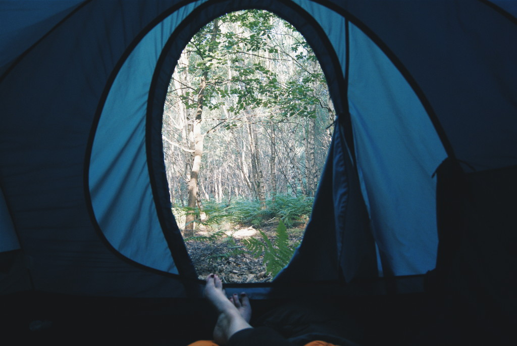 wild camping, wild camping in norfolk, suffolk forests