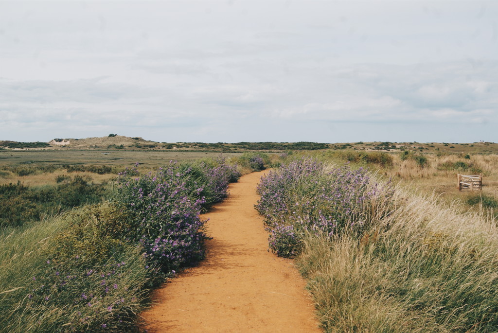 burnham overy staithe, wild camping in norfolk, beaches norfolk