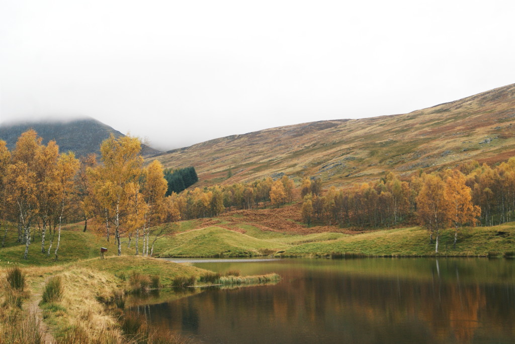 cairngorms national park in autumn, glen clova hills, glen clova lakes