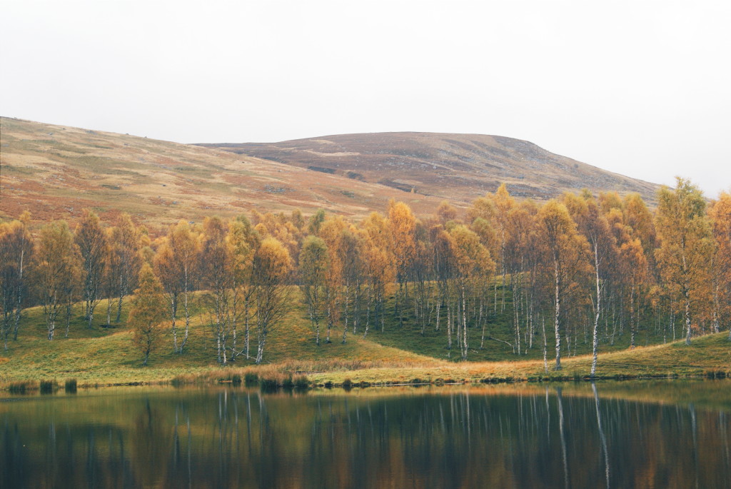 cairngorms national park, glen clova, angus glens