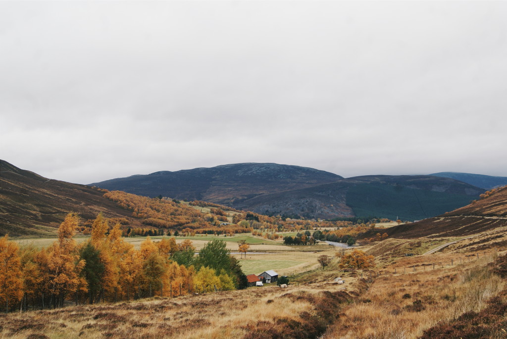 cairngorms national park in autumn, glen clova, angus glens, scotland travel
