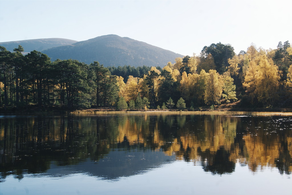 cairngorms national park photos, cairngorms national park in autumn, loch an eilein