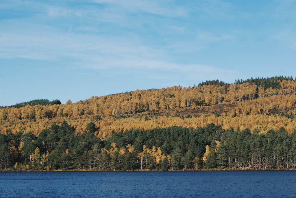 cairngorms national park in autumn, scotland autumn, cairngorms national park photos