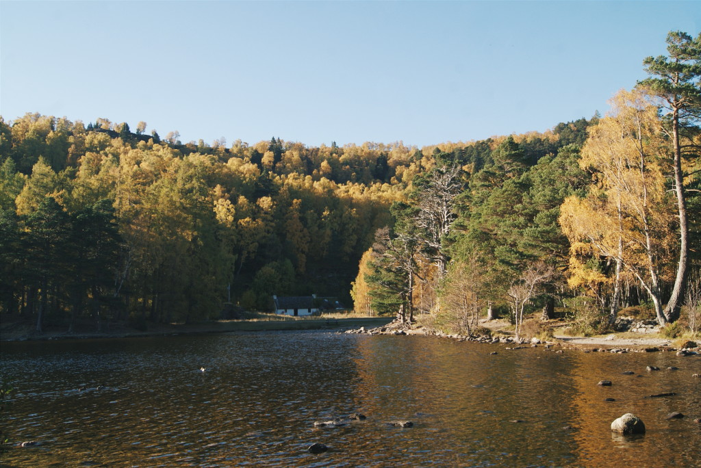 cairngorms national park in autumn, scotland photos, cairngorms photos