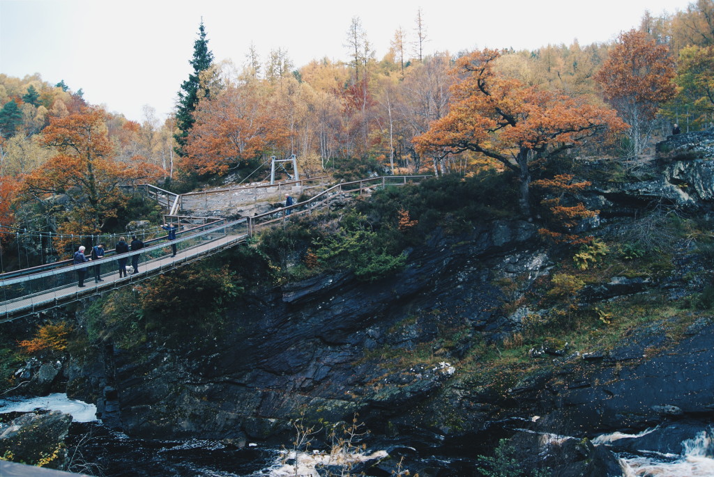 days out in scotland, rogie falls, scotland nature