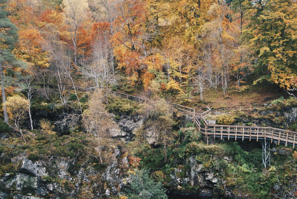 days out in scotland, rogie falls, scotland nature