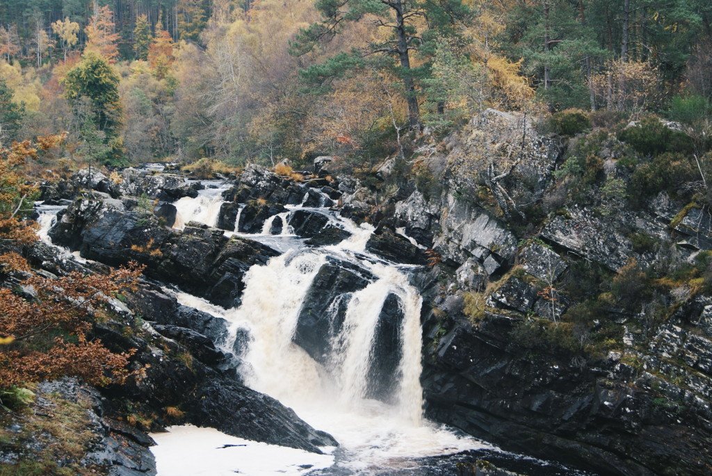 days out in scotland, rogie falls, scotland nature