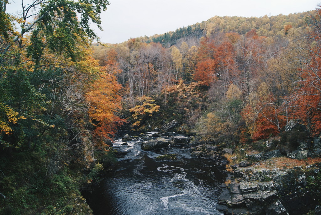 days out in scotland, rogie falls, scotland nature