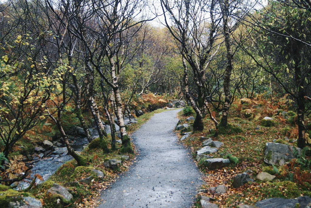 visiting glenevin waterfall, days out in inishowen, glenevin waterfall