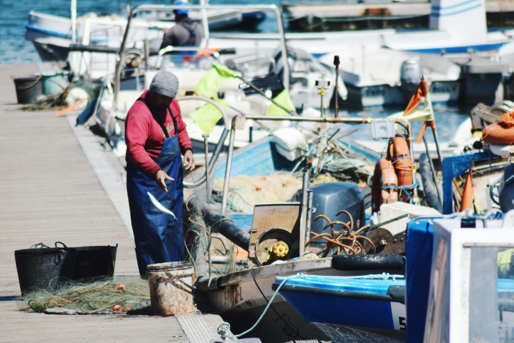 guide to ria formosa natural park, ria formosa guide, visiting ria formosa portugal, best of the algarve