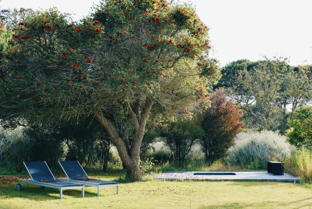 quinta do miguel, sesimbra accommodation, rural tourism portugal