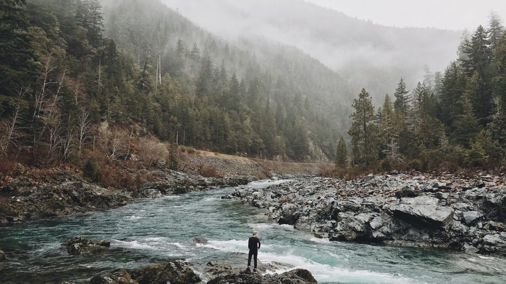 traveller at home, nature travel