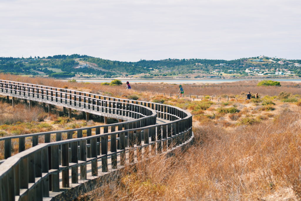 alvor boardwalks, alrgave nature