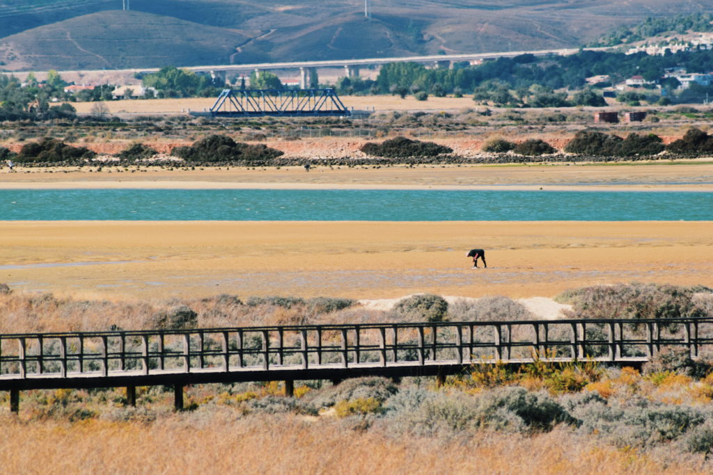 alvor boardwalks