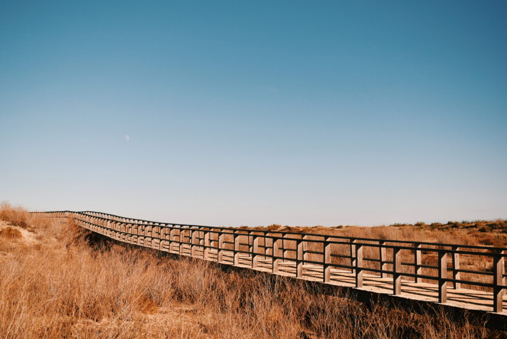 alvor boardwalks