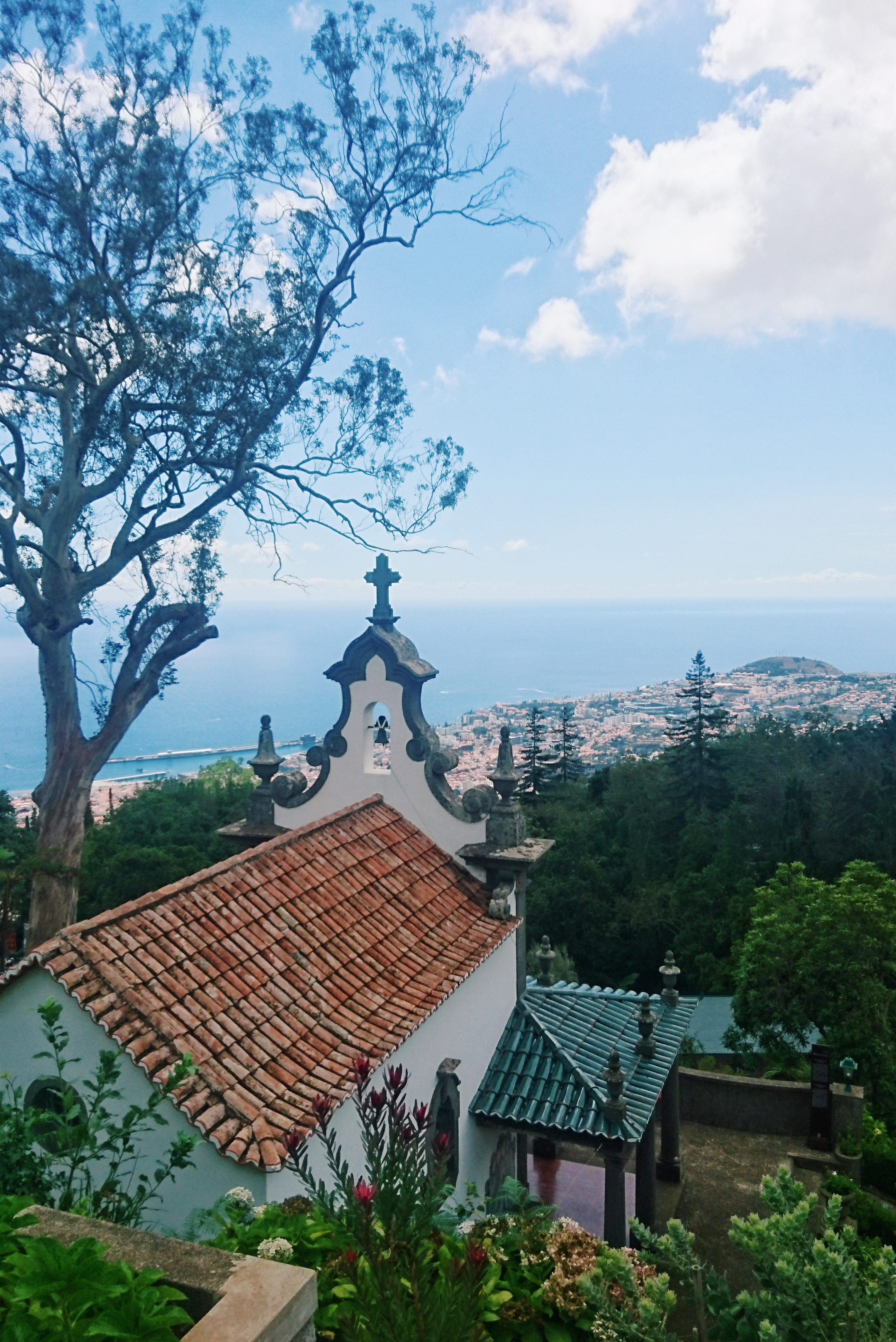 visiting madeira, madeira portugal