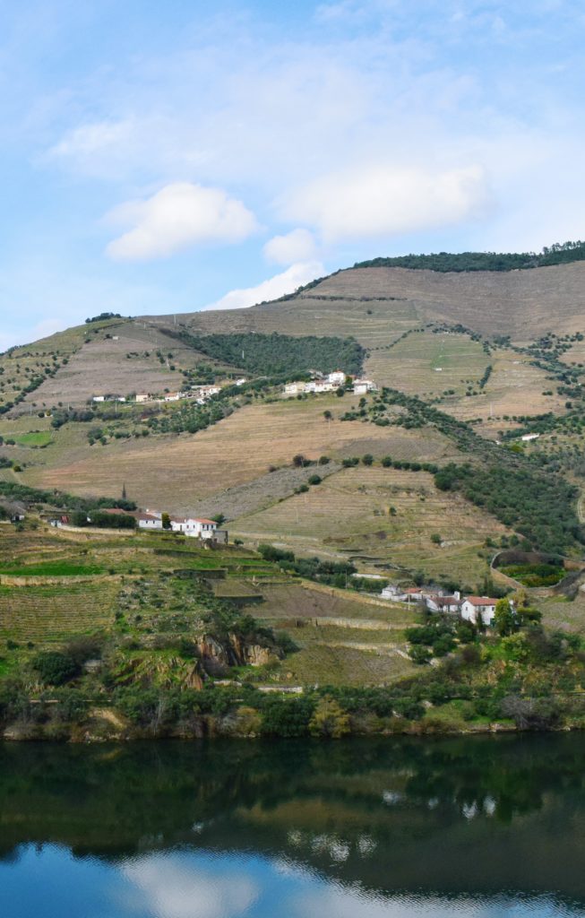 things to do in the douro, douro guide, douro travel
